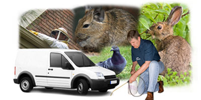 Blyth local van
